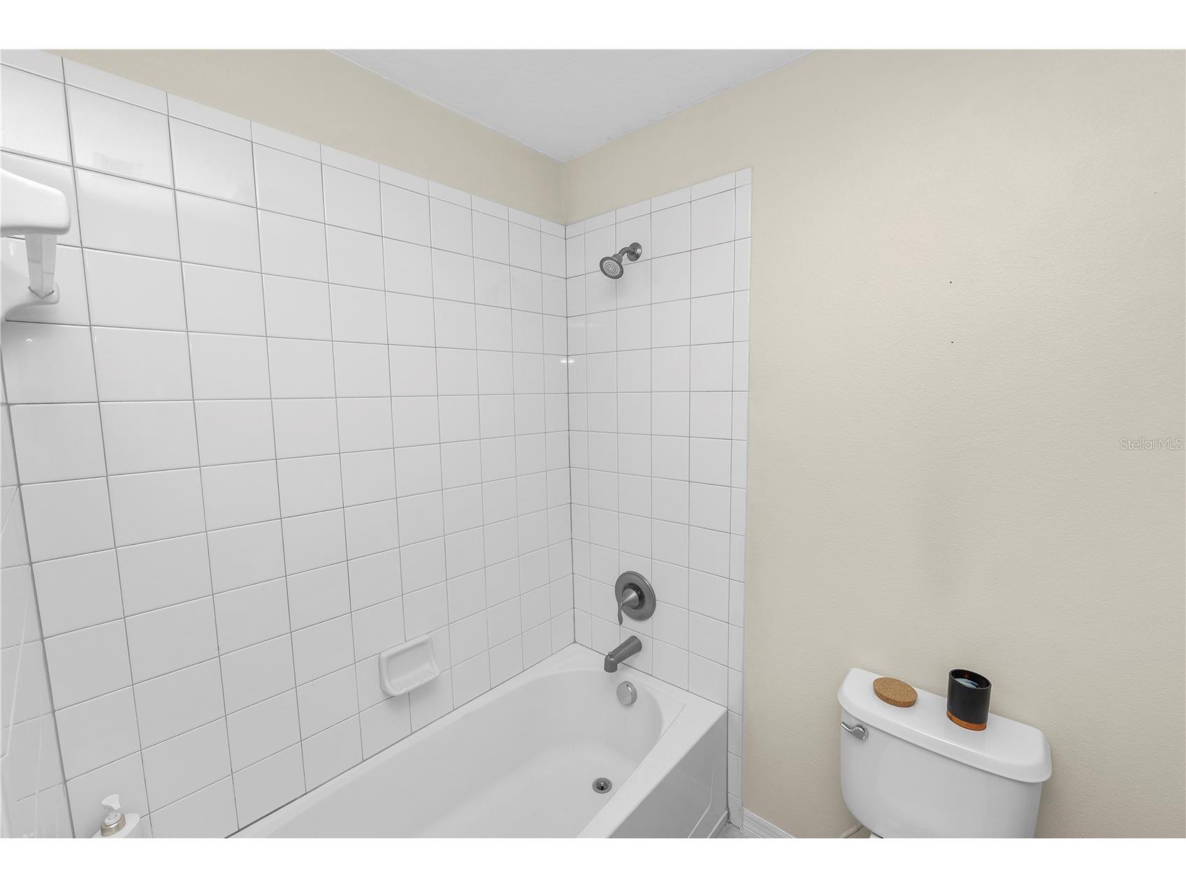 10615 Lucaya Drive Tampa FL 33647 TB8468120 image31