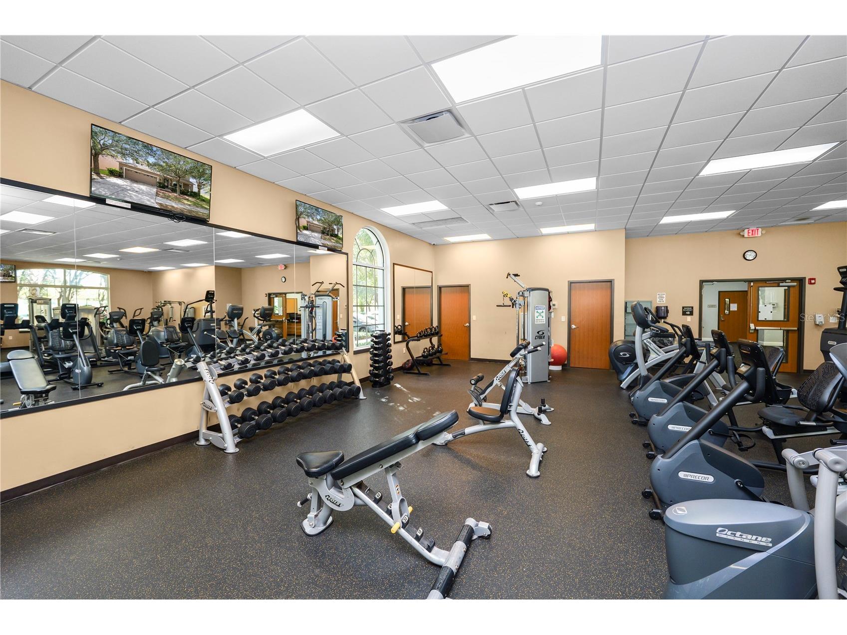10615 Lucaya Drive Tampa FL 33647 TB8468120 image41