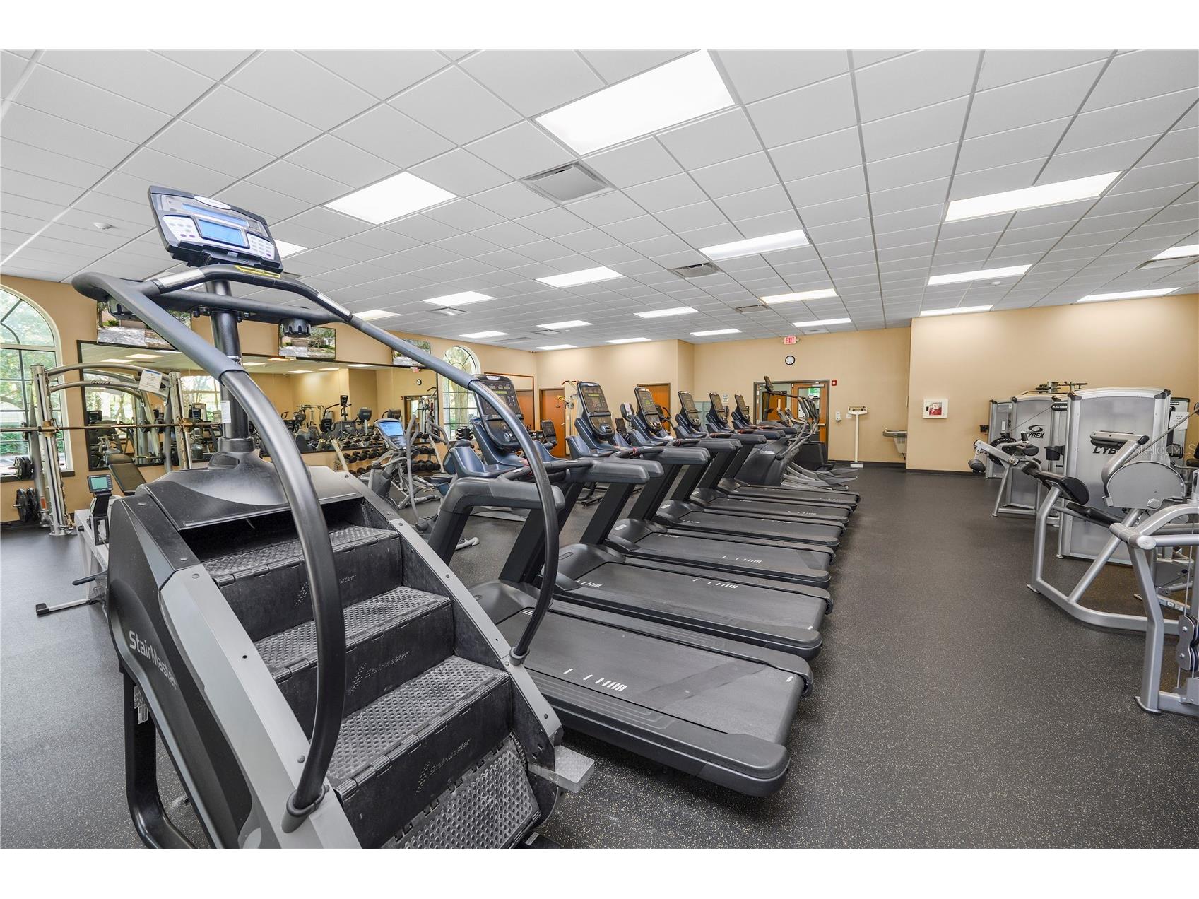 10615 Lucaya Drive Tampa FL 33647 TB8468120 image42