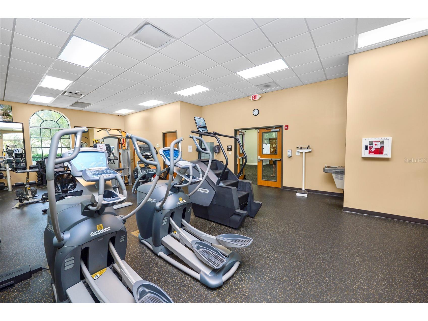 10615 Lucaya Drive Tampa FL 33647 TB8468120 image43