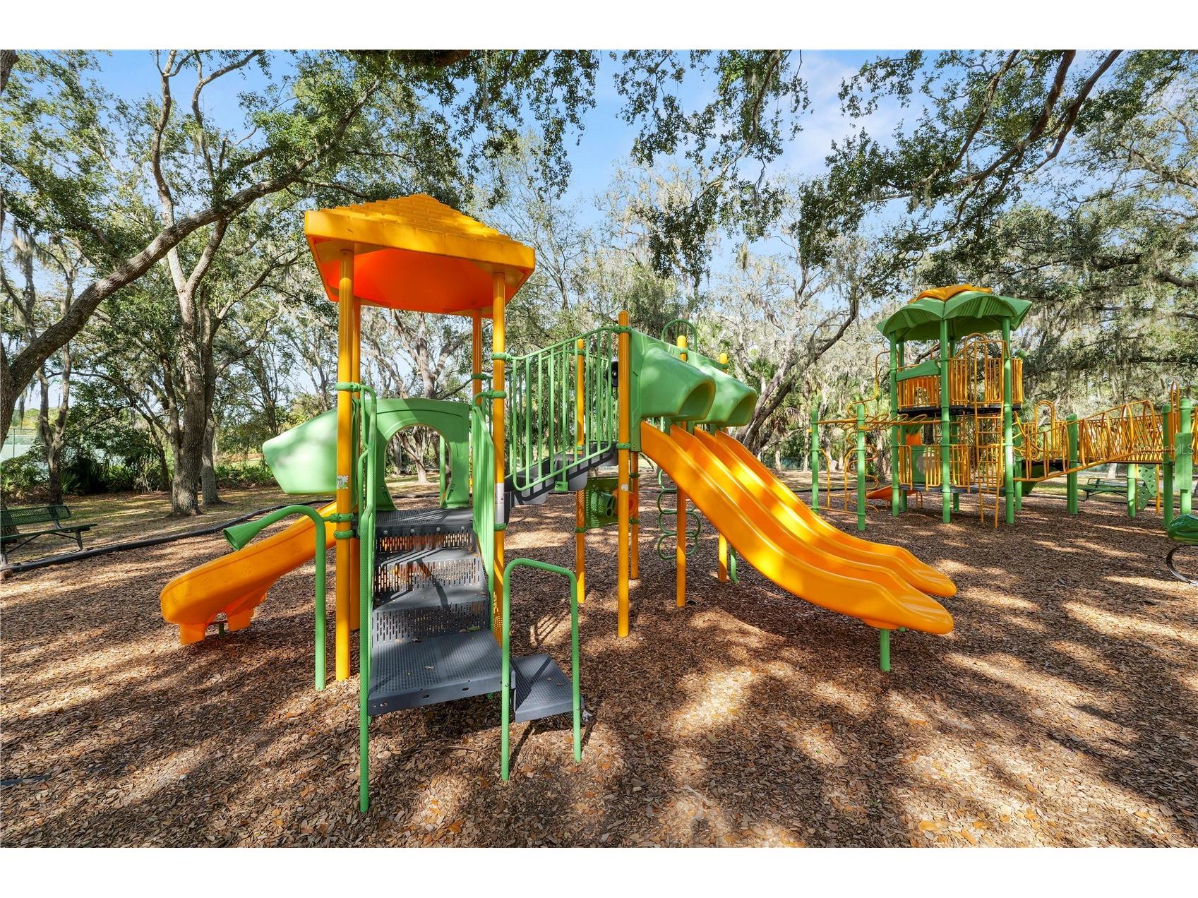 10615 Lucaya Drive Tampa FL 33647 TB8468120 image46