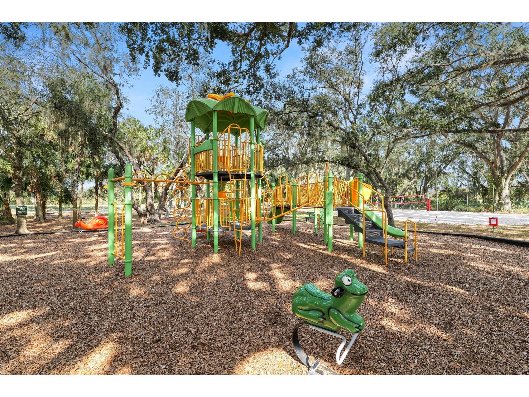10615 Lucaya Drive Tampa FL 33647 TB8468120 image47