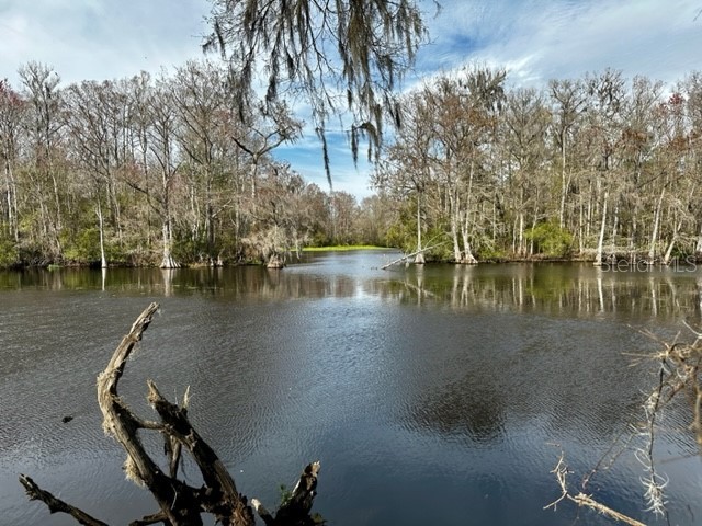 10615 N Big Bass Trail Dunnellon FL 34434 - WITHLACOOCHEE RIVER U8191161 image1