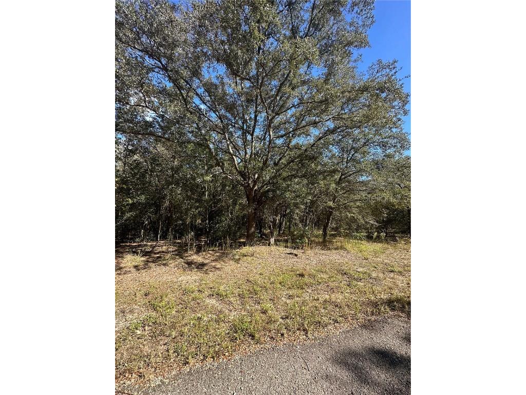 10615 N Didiscus Drive Citrus Springs FL 34434 O6151662 image1