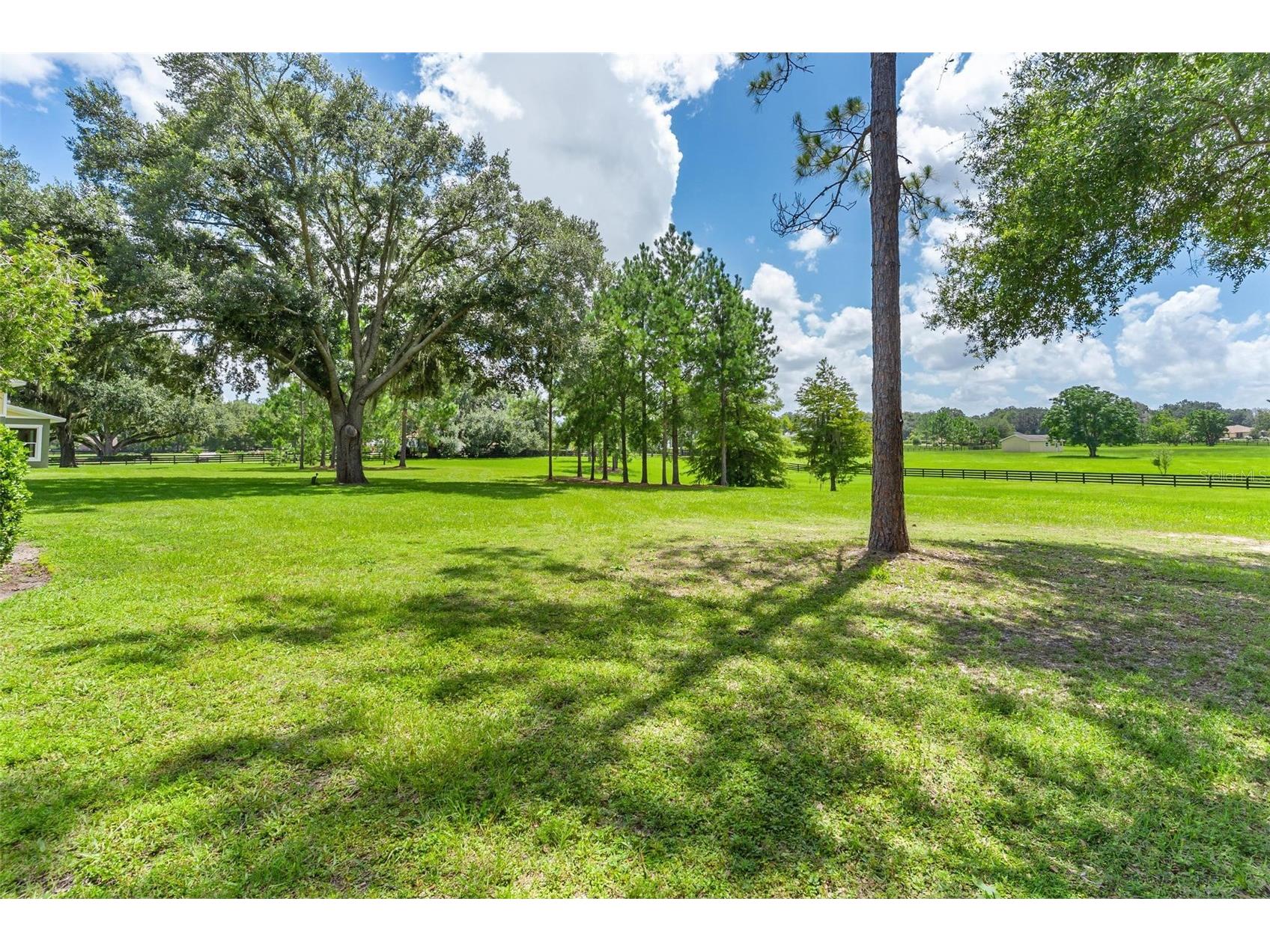 10615 NE 104th Circle Oxford FL 34484 G5110792 image50