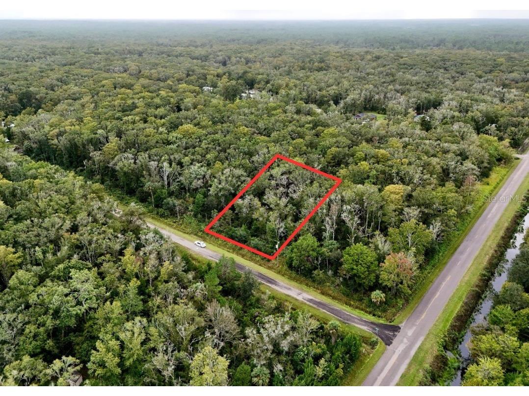 10615 Ruth Avenue Hastings FL 32145 TB8436964 image1