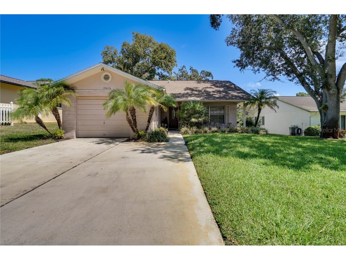 10616 Mira Vista Drive Port Richey FL 34668 W7857954 image1