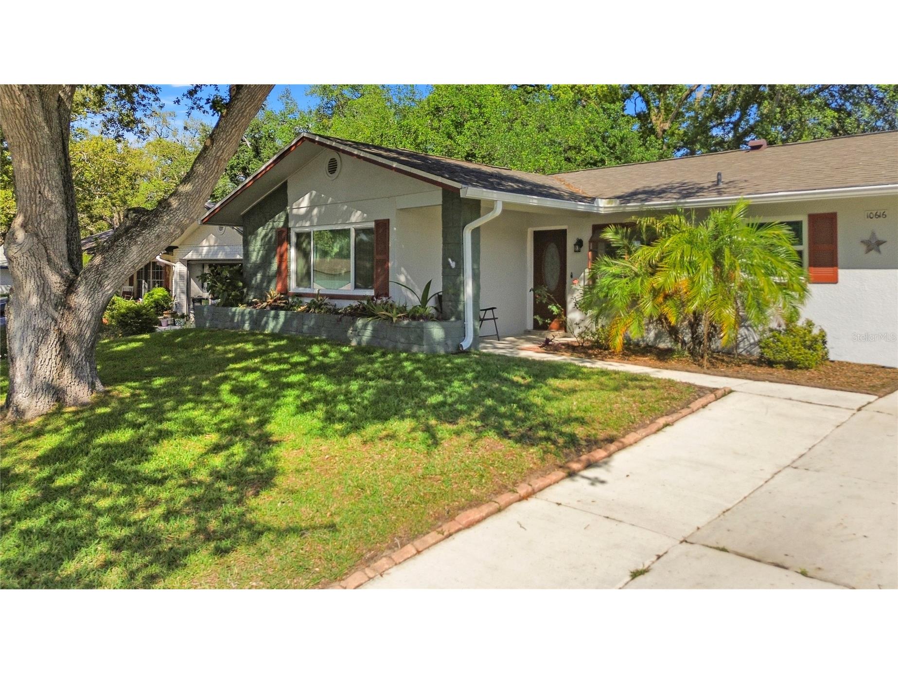 10616 Springwood Drive Port Richey FL 34668 TB8497180 image1