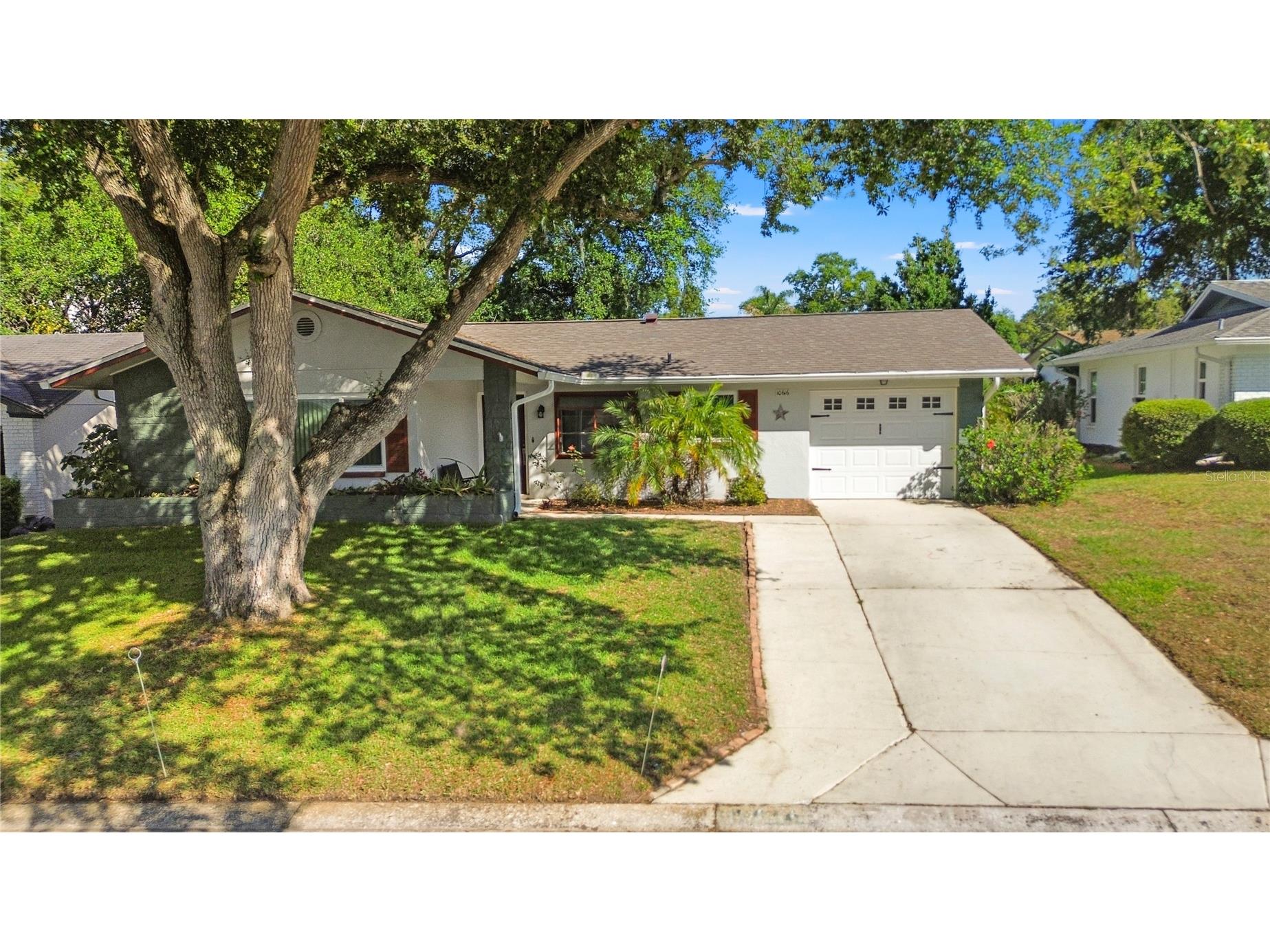 10616 Springwood Drive Port Richey FL 34668 TB8497180 image2