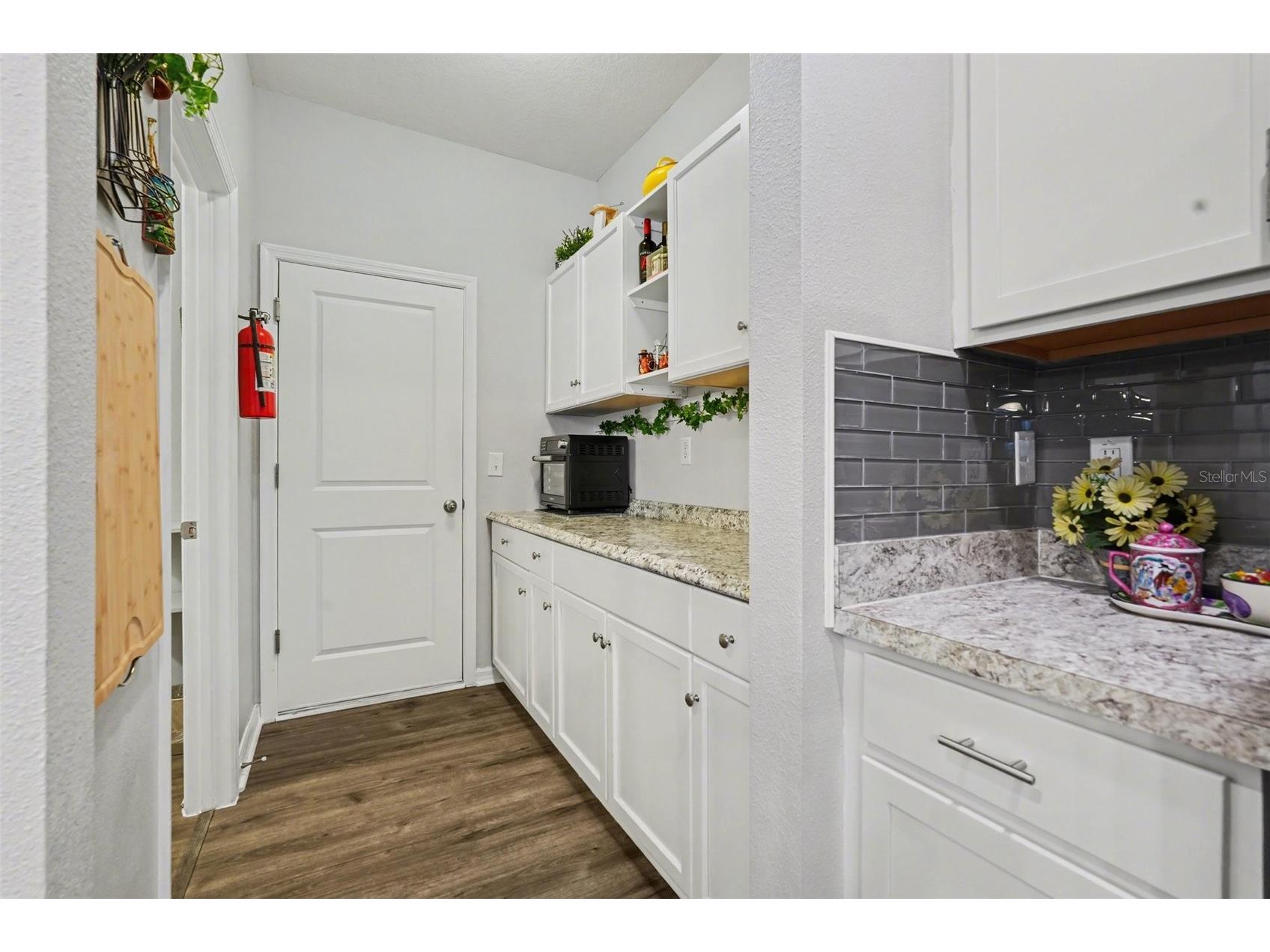 10617 Aldo Moro Drive Wimauma FL 33598 TB8482911 image12