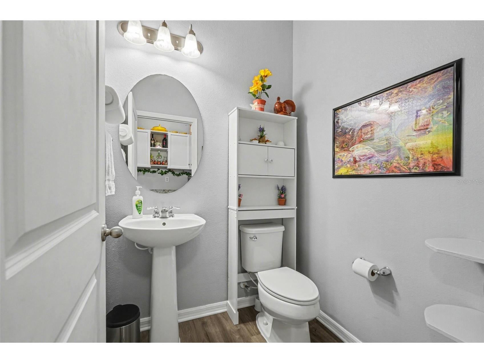 10617 Aldo Moro Drive Wimauma FL 33598 TB8482911 image16