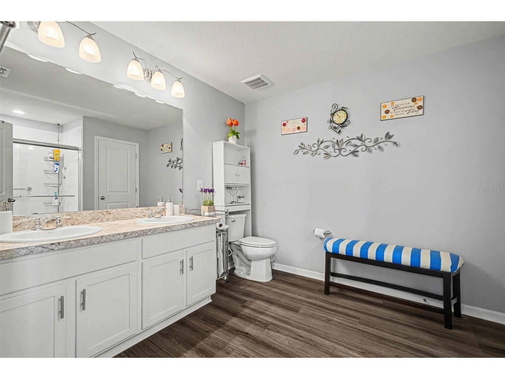 10617 Aldo Moro Drive Wimauma FL 33598 TB8482911 image20