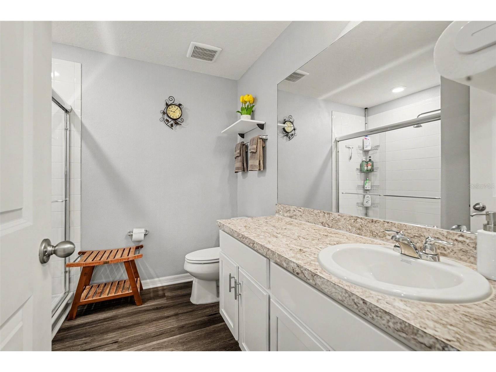 10617 Aldo Moro Drive Wimauma FL 33598 TB8482911 image23