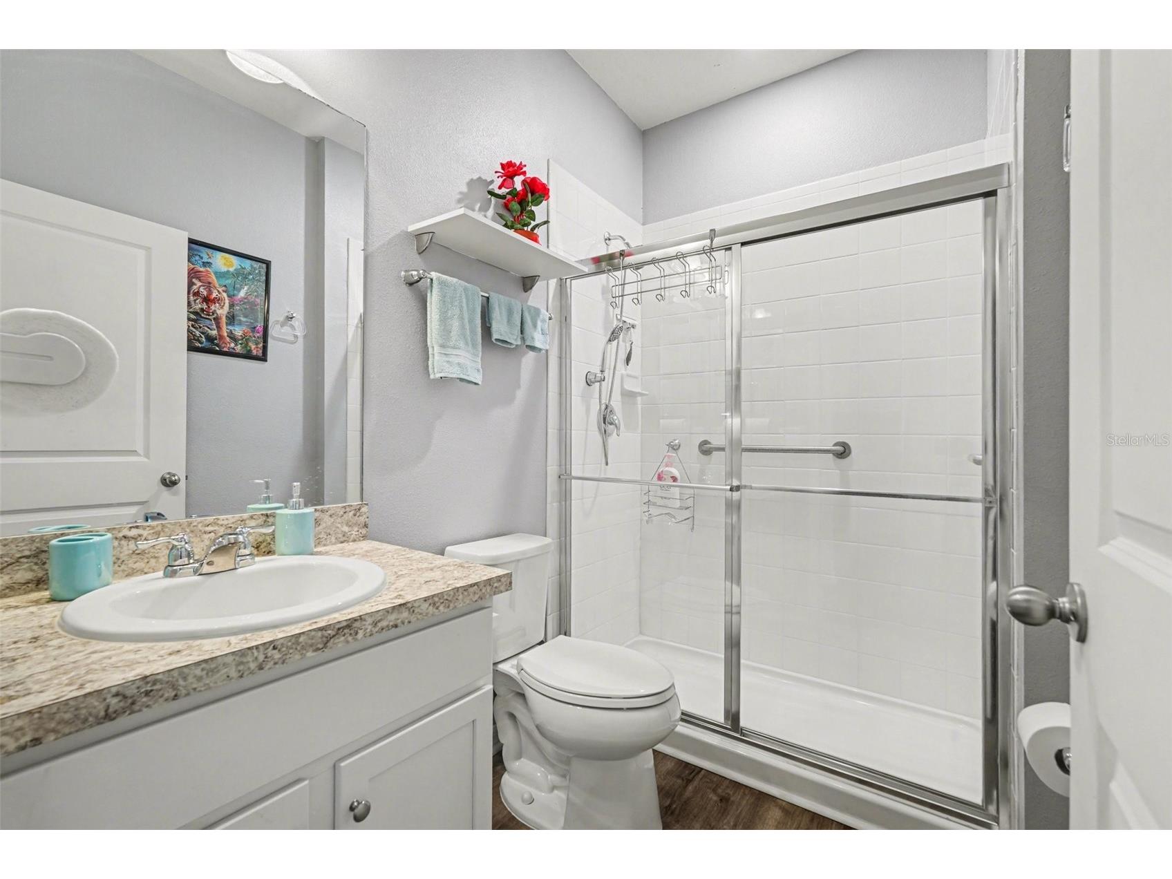 10617 Aldo Moro Drive Wimauma FL 33598 TB8482911 image26