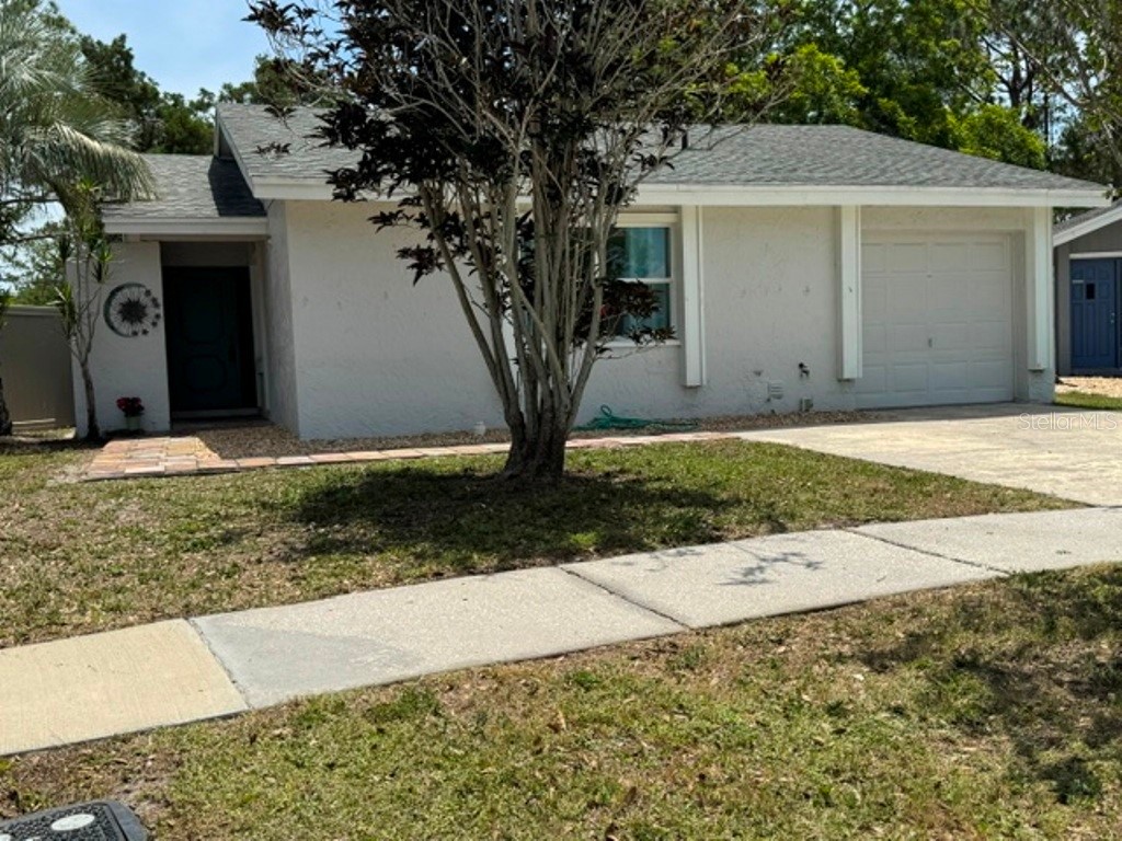 10617 Fairfield Village Drive Tampa FL 33624 TB8506010 image1