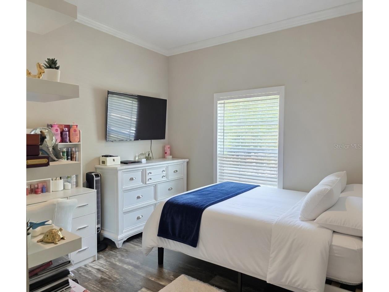 10617 Skewlee Gardens Drive Thonotosassa FL 33592 TB8512285 image10