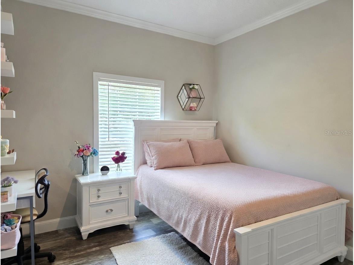 10617 Skewlee Gardens Drive Thonotosassa FL 33592 TB8512285 image13