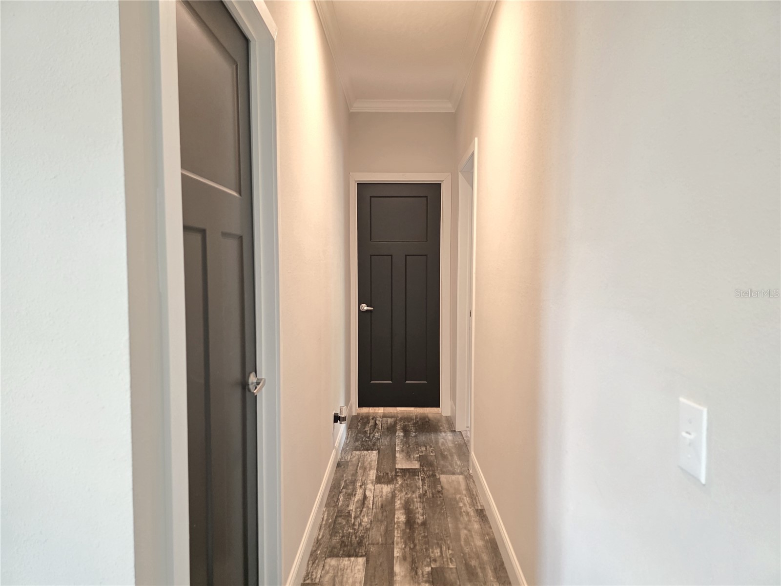 10617 Skewlee Gardens Drive Thonotosassa FL 33592 TB8512285 image16