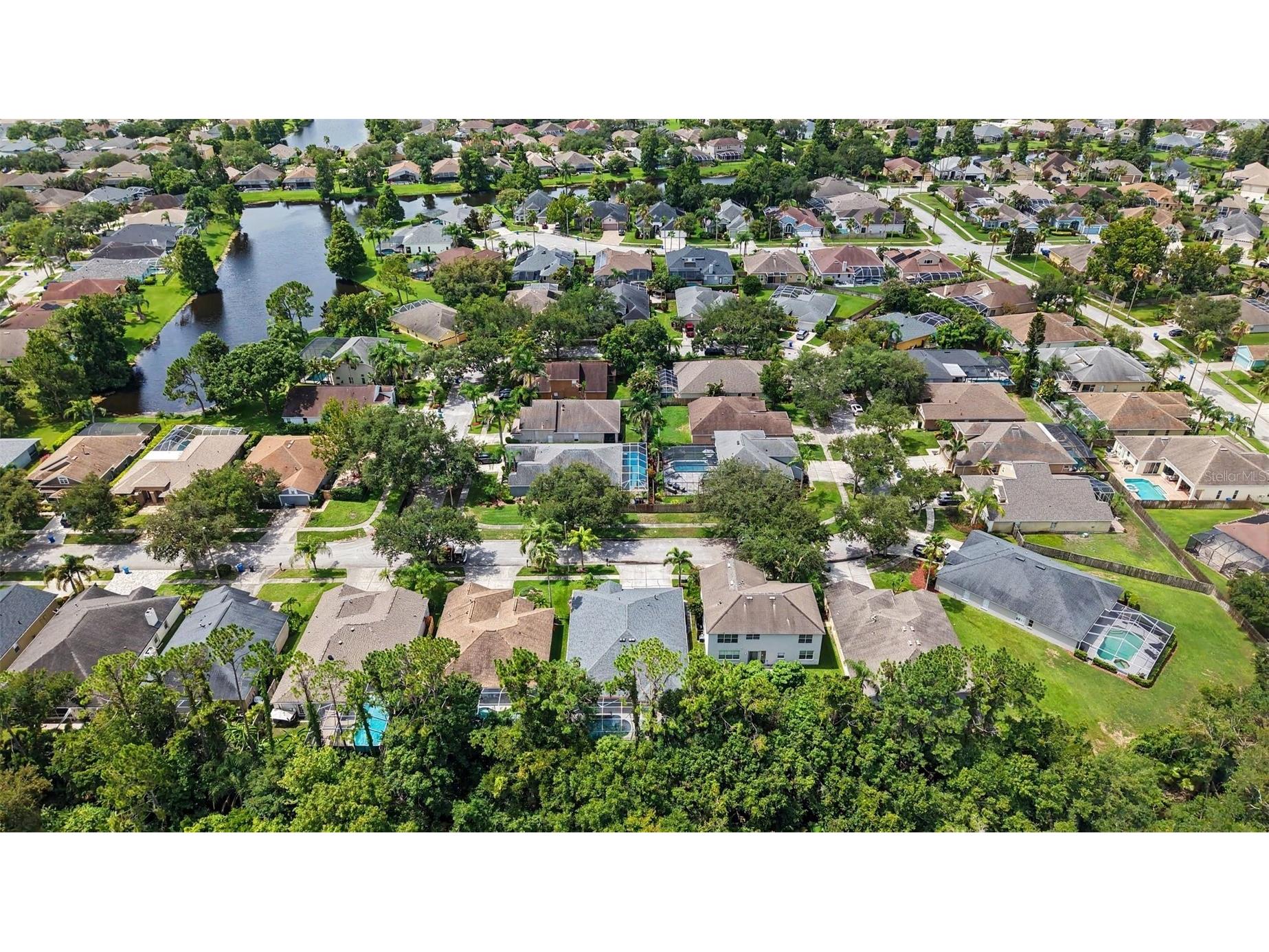 10617 Weybridge Drive Tampa FL 33626 W7887661 image45