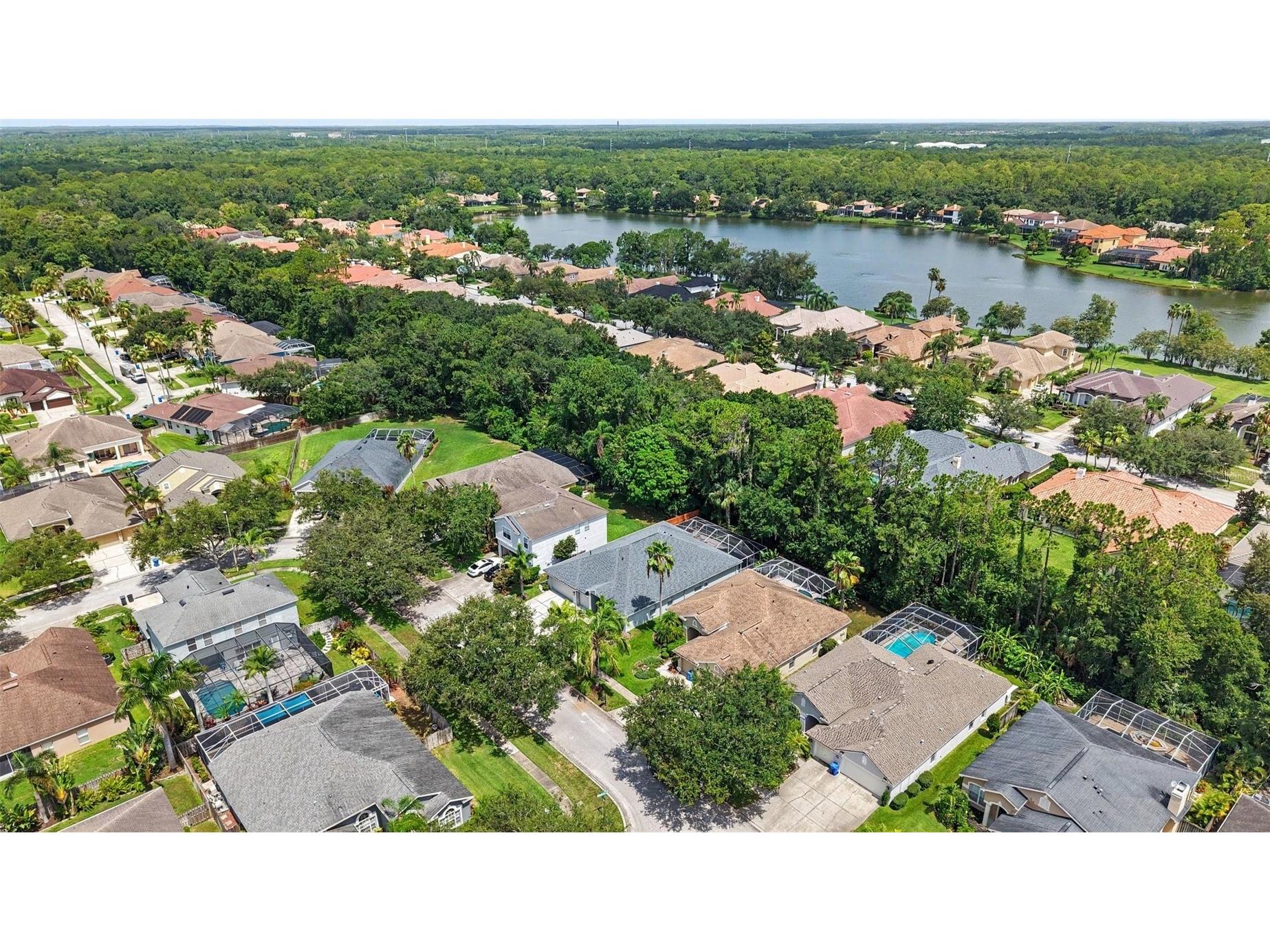 10617 Weybridge Drive Tampa FL 33626 W7887661 image46