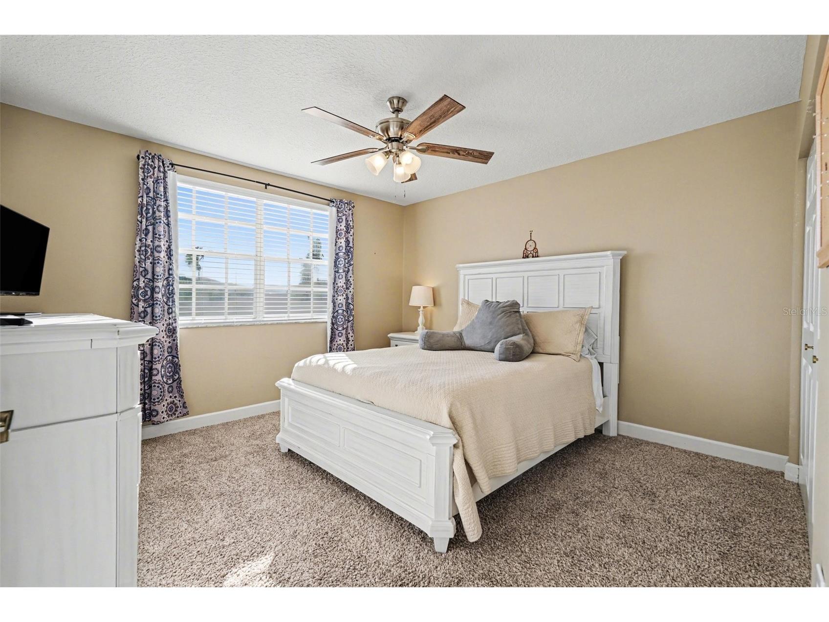 10618 Hatteras Drive Tampa FL 33615 TB8481613 image27