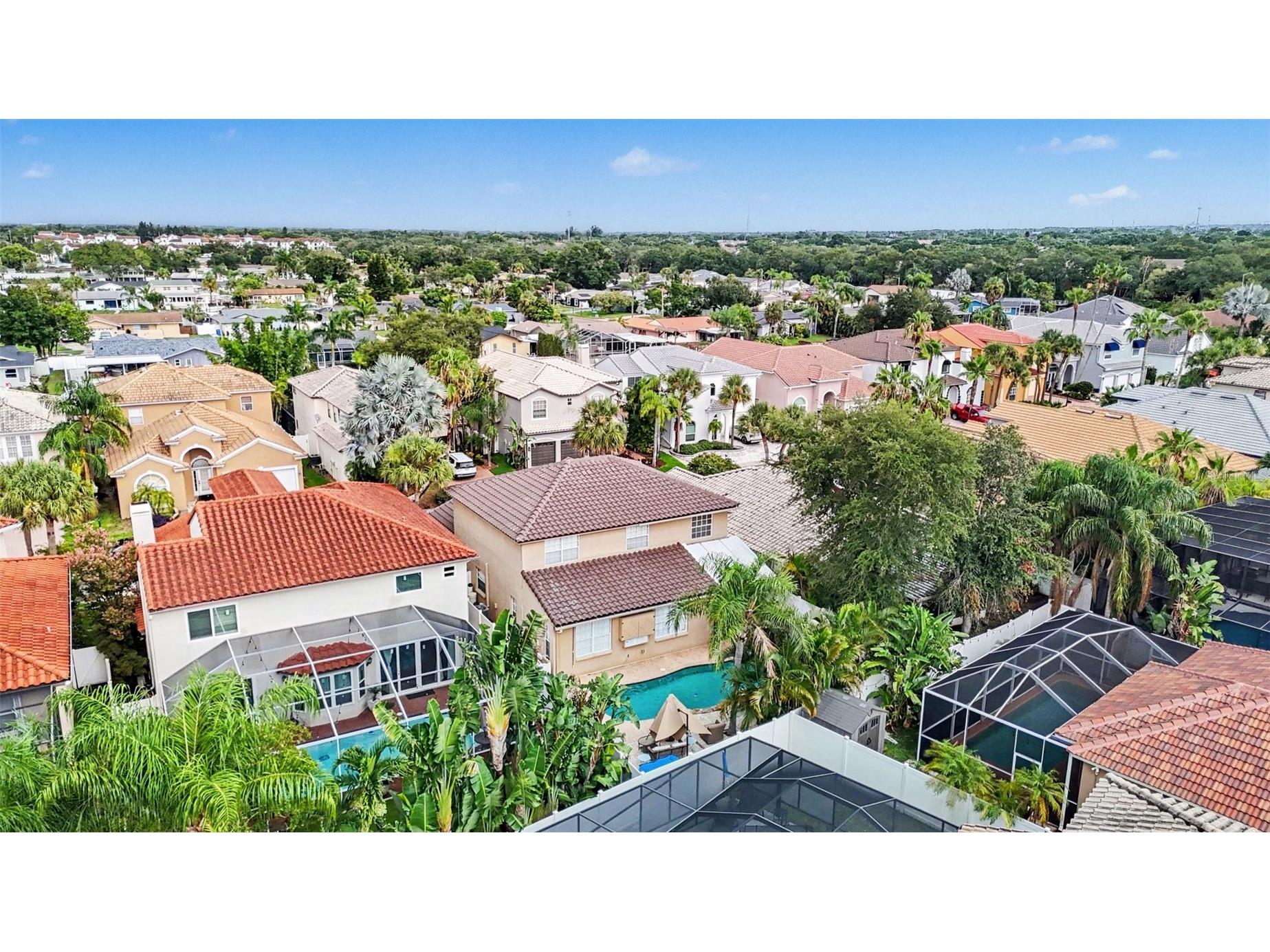 10618 Hatteras Drive Tampa FL 33615 TB8481613 image49