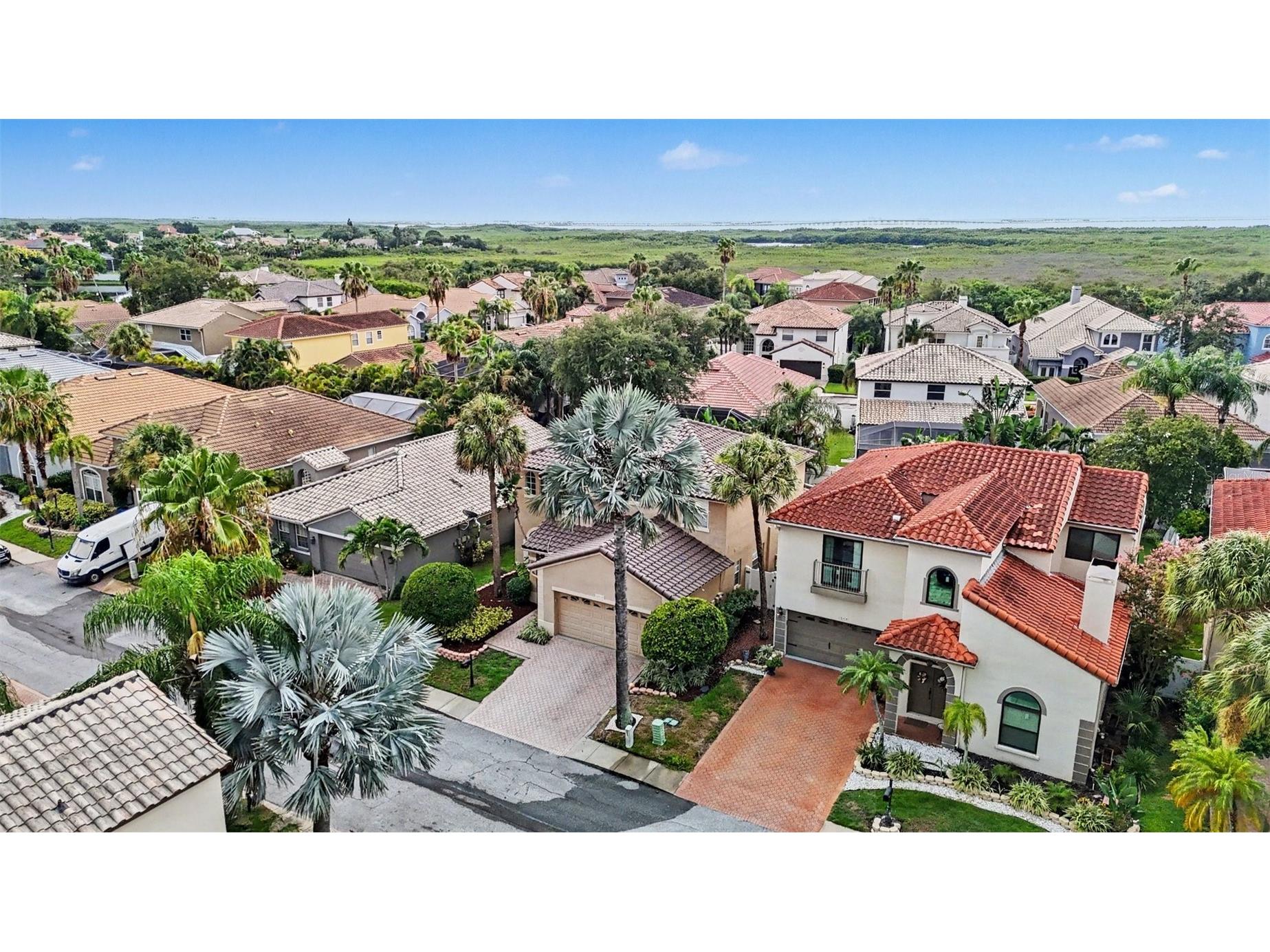10618 Hatteras Drive Tampa FL 33615 TB8481613 image50