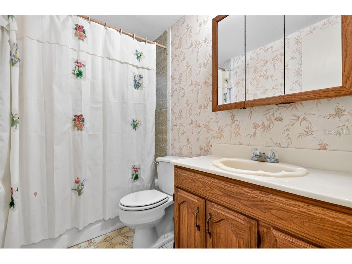 10618 Skewlee Gardens Drive Thonotosassa FL 33592 TB8440637 image13