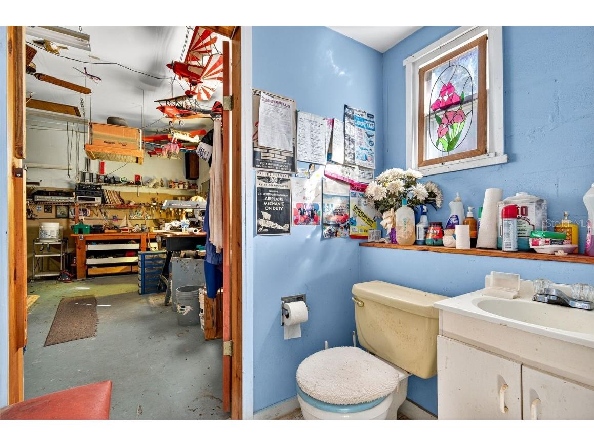 10618 Skewlee Gardens Drive Thonotosassa FL 33592 TB8440637 image18