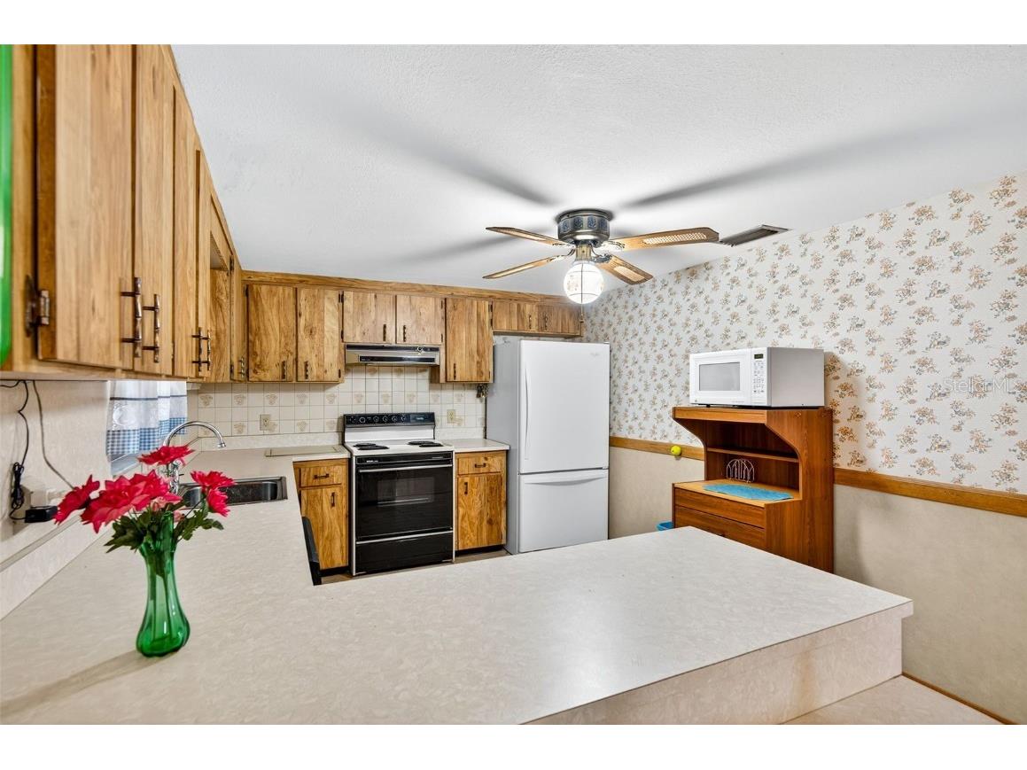 10618 Skewlee Gardens Drive Thonotosassa FL 33592 TB8440637 image4