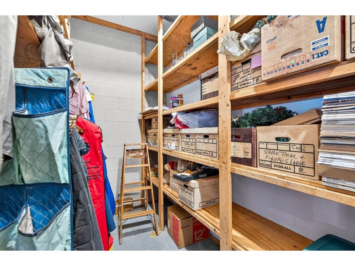 10618 Skewlee Gardens Drive Thonotosassa FL 33592 TB8440637 image53