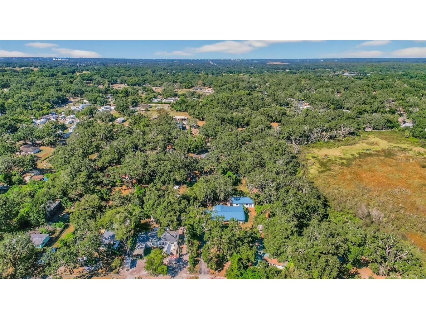 10618 Skewlee Gardens Drive Thonotosassa FL 33592 TB8440637 image58