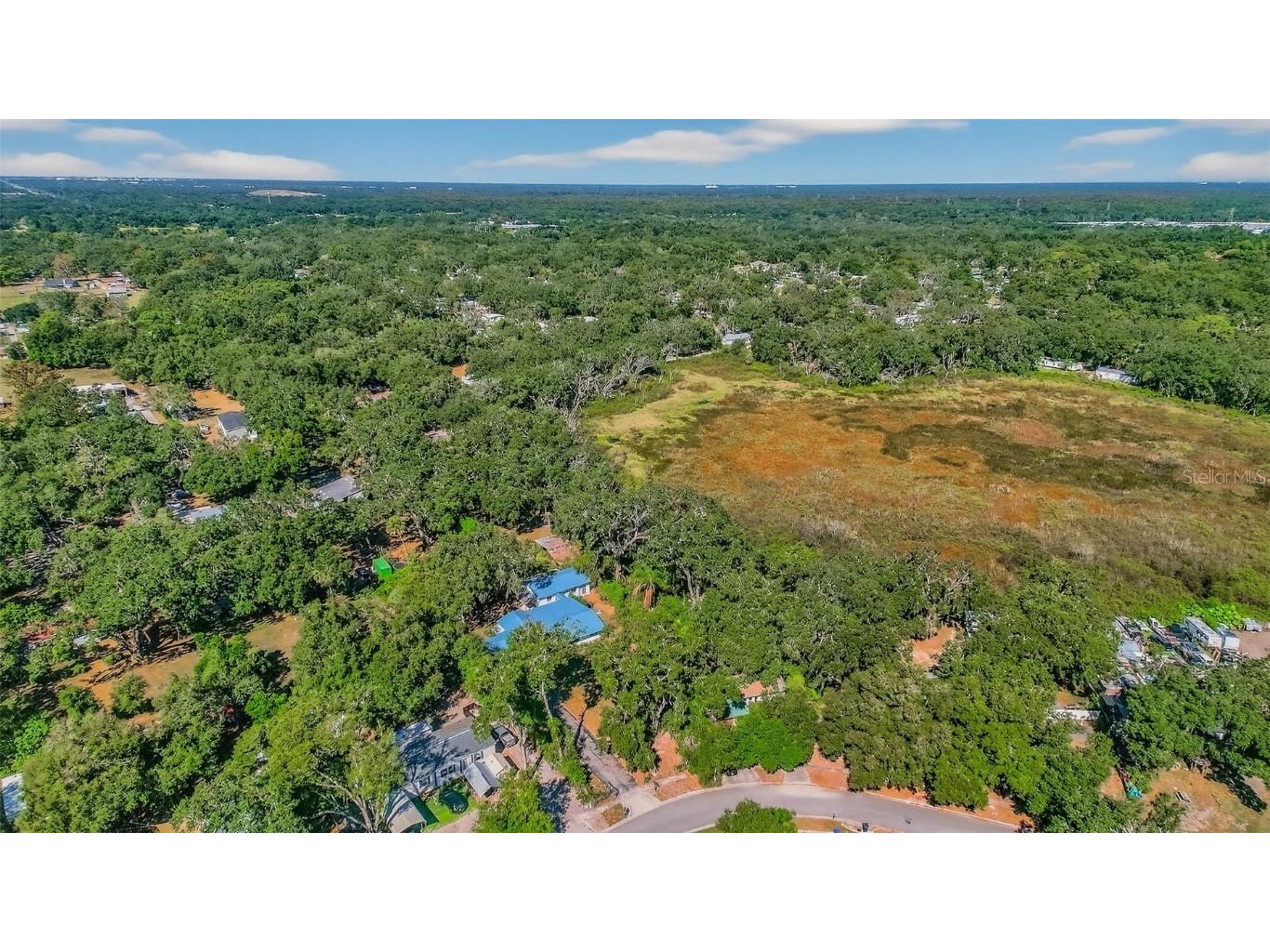 10618 Skewlee Gardens Drive Thonotosassa FL 33592 TB8440637 image59