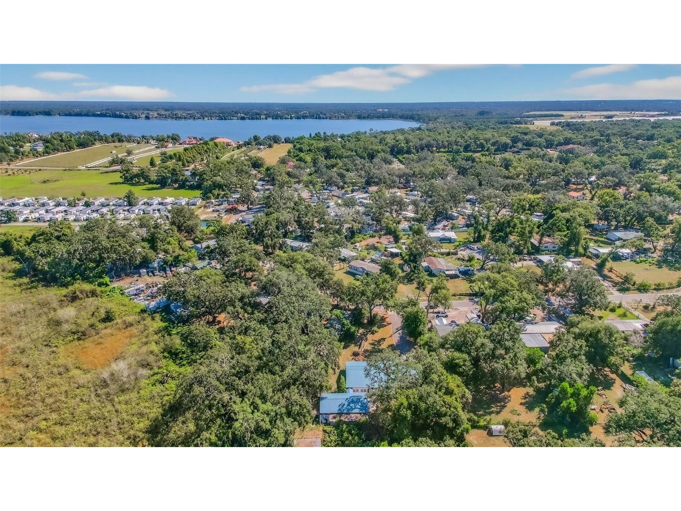 10618 Skewlee Gardens Drive Thonotosassa FL 33592 TB8440637 image61