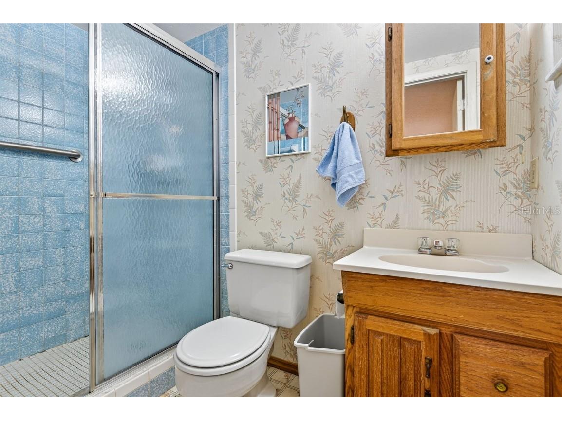 10618 Skewlee Gardens Drive Thonotosassa FL 33592 TB8440637 image9