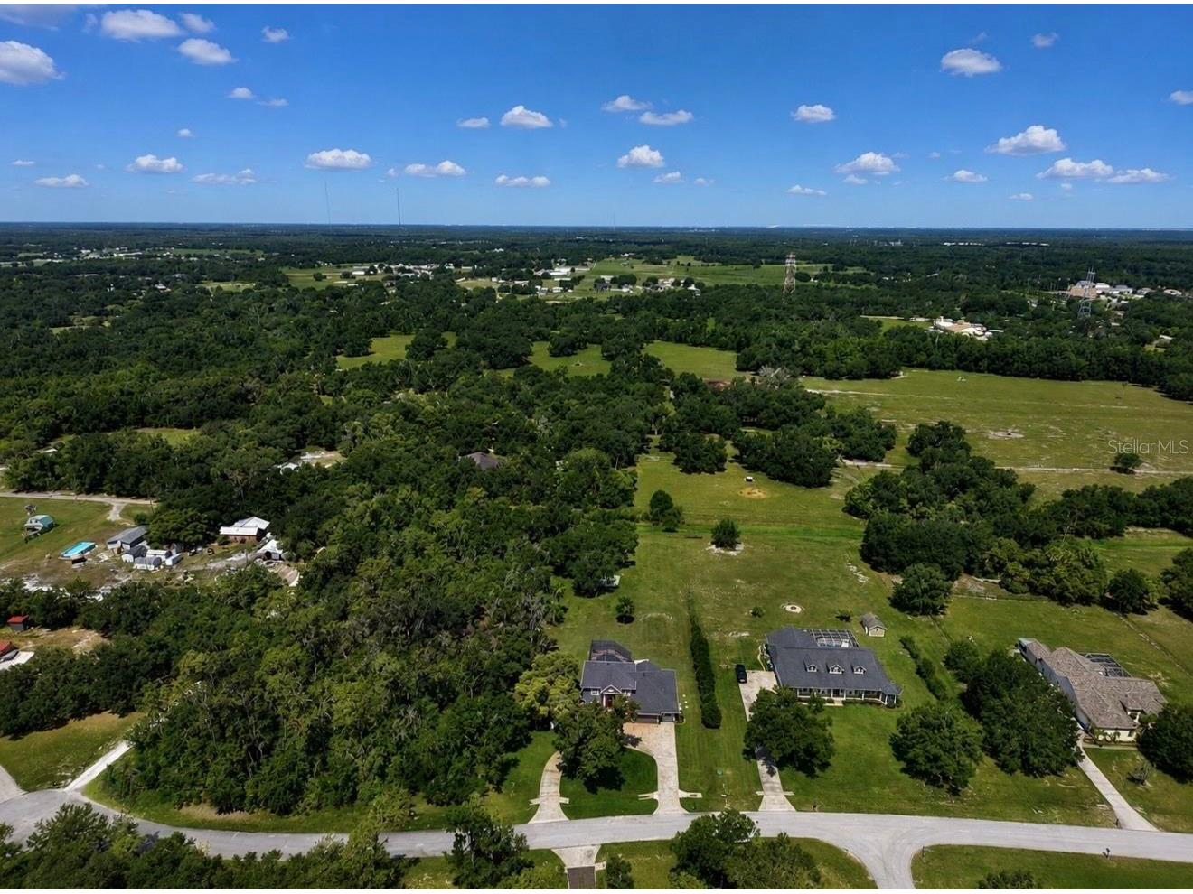 10619 Lithia Estates Drive Lithia FL 33547 TB8515659 image59