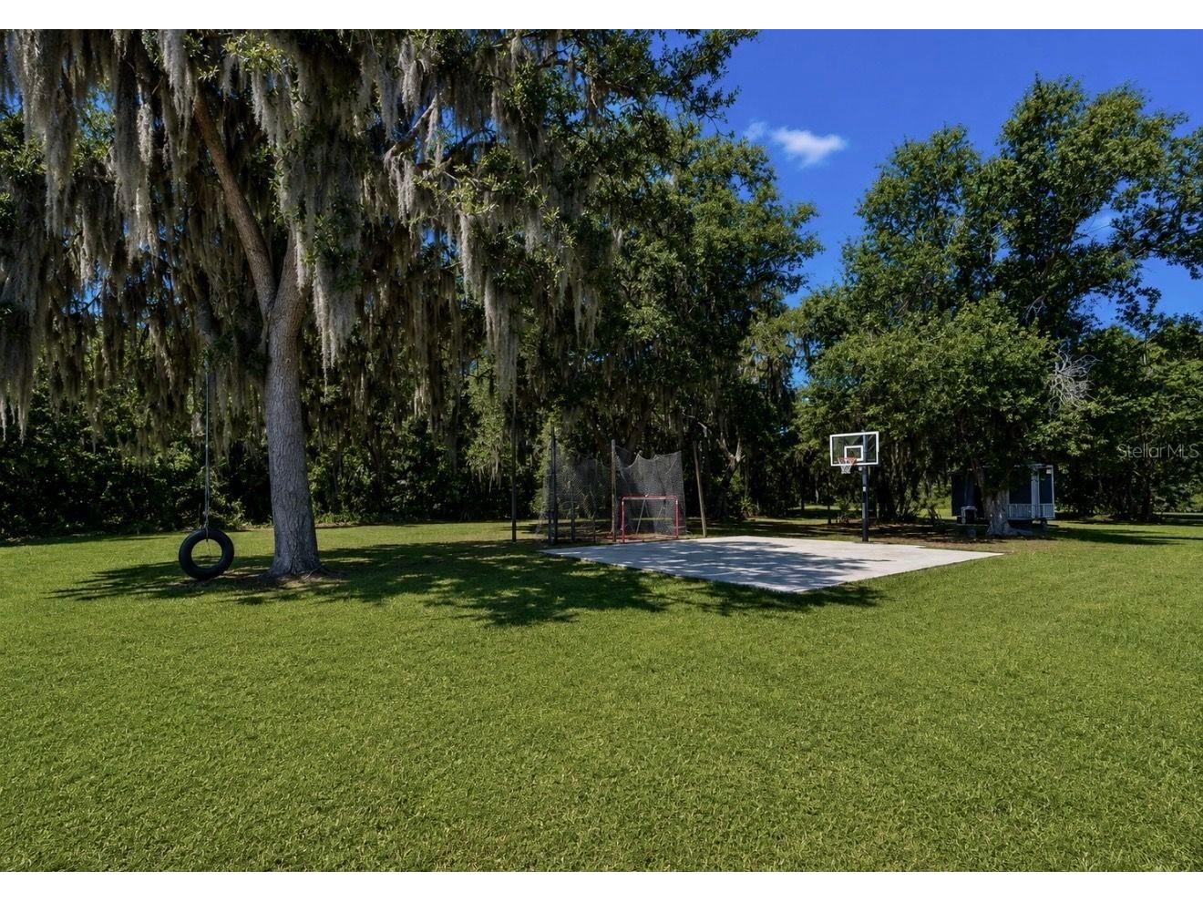 10619 Lithia Estates Drive Lithia FL 33547 TB8515659 image64