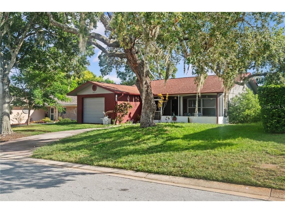 10619 Mira Vista Drive Port Richey FL 34668 W7878192 image4