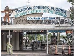 10619 Mira Vista Drive Port Richey FL 34668 W7878192 image47