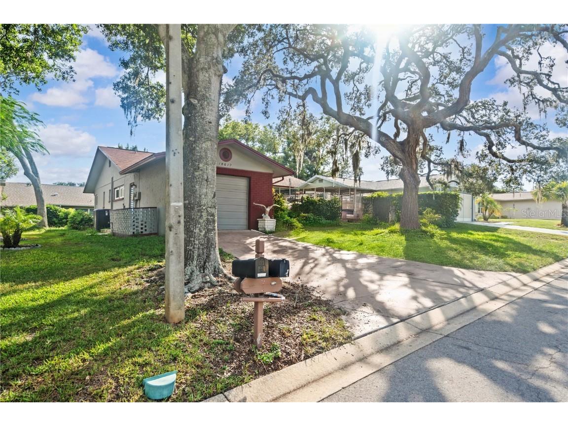 10619 Mira Vista Drive Port Richey FL 34668 W7878192 image5