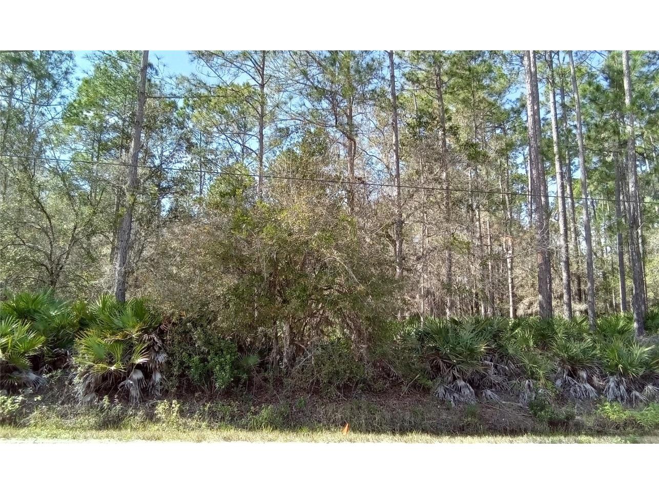 1062 Hickory Street Bunnell FL 32110 OM673897 image1