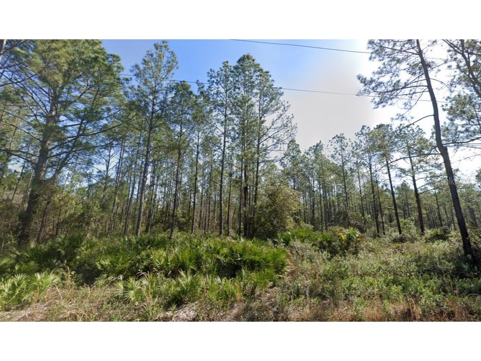 10620 Beckenger Avenue Hastings FL 32145 A4686590 image1