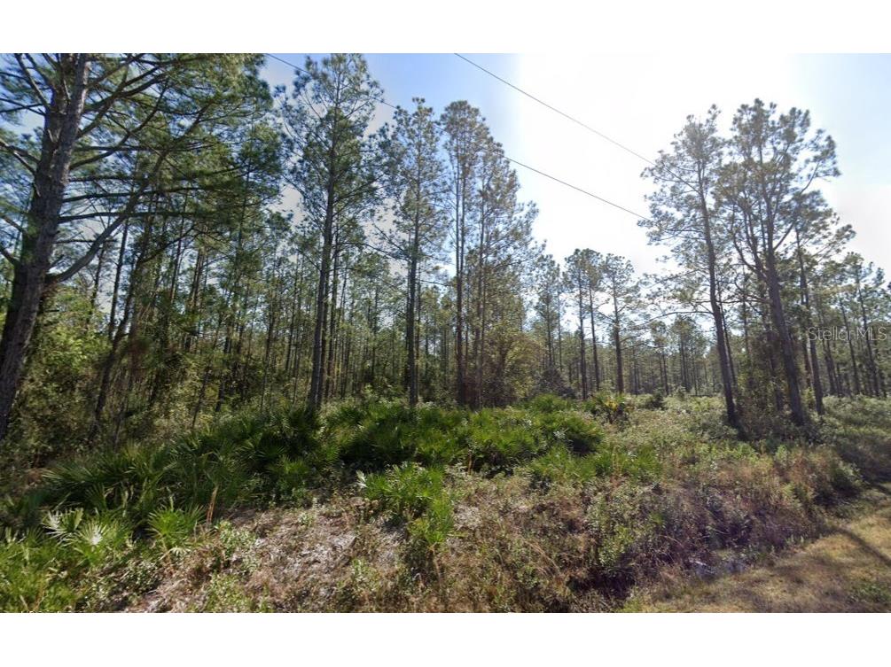 10620 Beckenger Avenue Hastings FL 32145 A4686590 image2