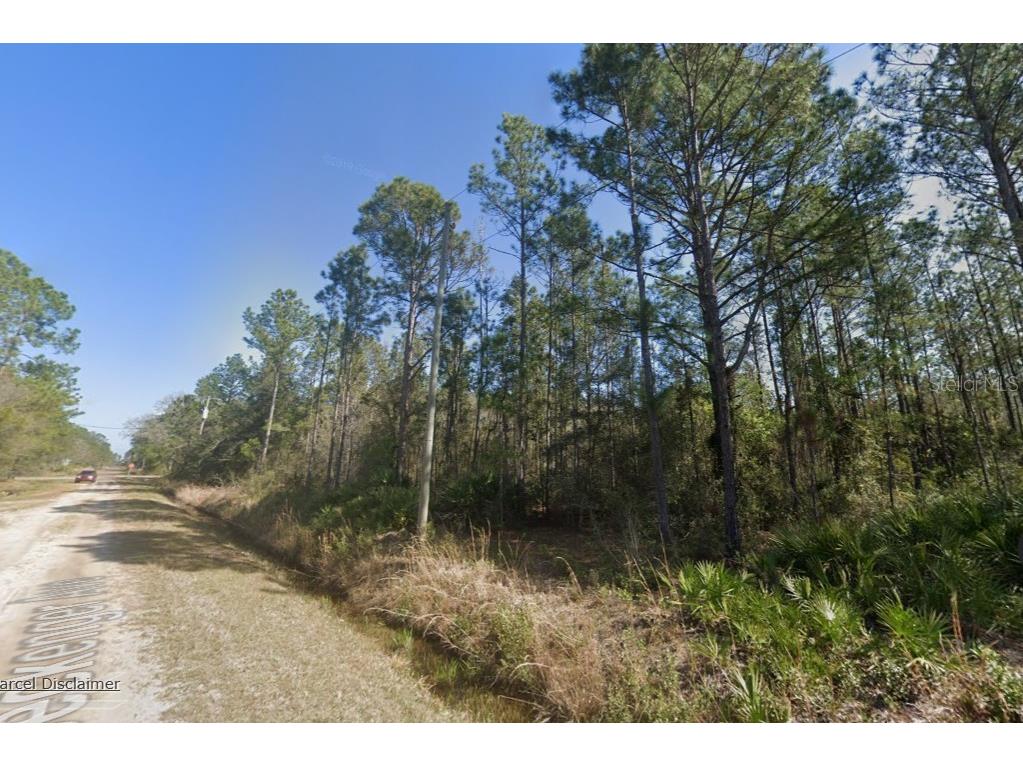 10620 Beckenger Avenue Hastings FL 32145 A4686590 image3