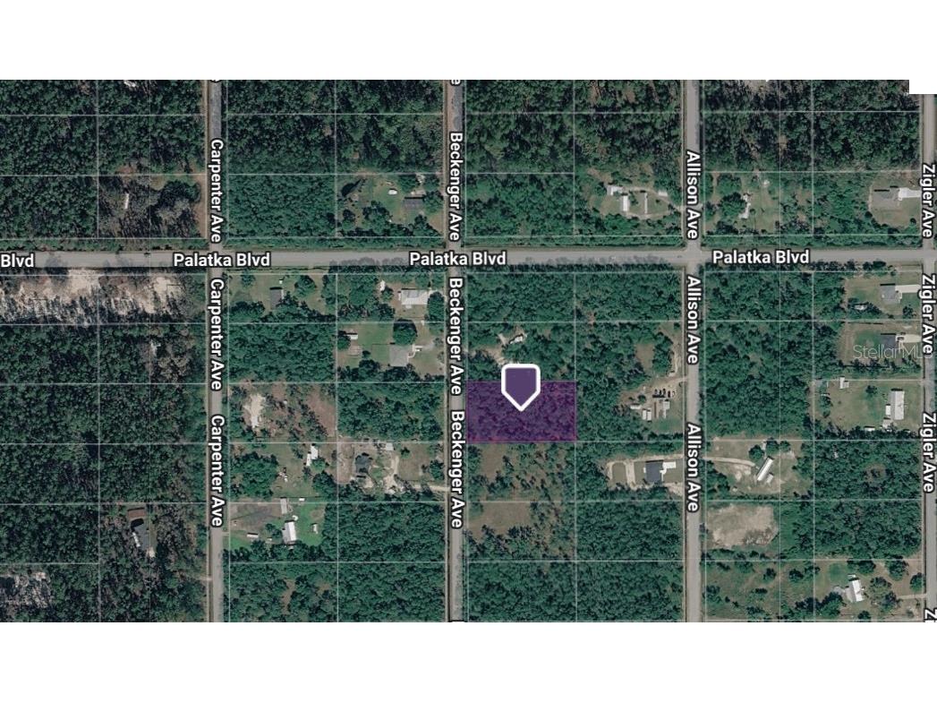 10620 Beckenger Avenue Hastings FL 32145 A4686590 image4