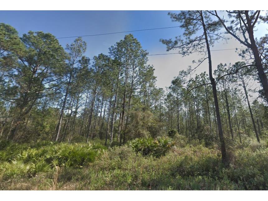 10620 Beckenger Avenue Hastings FL 32145 A4686590 image5