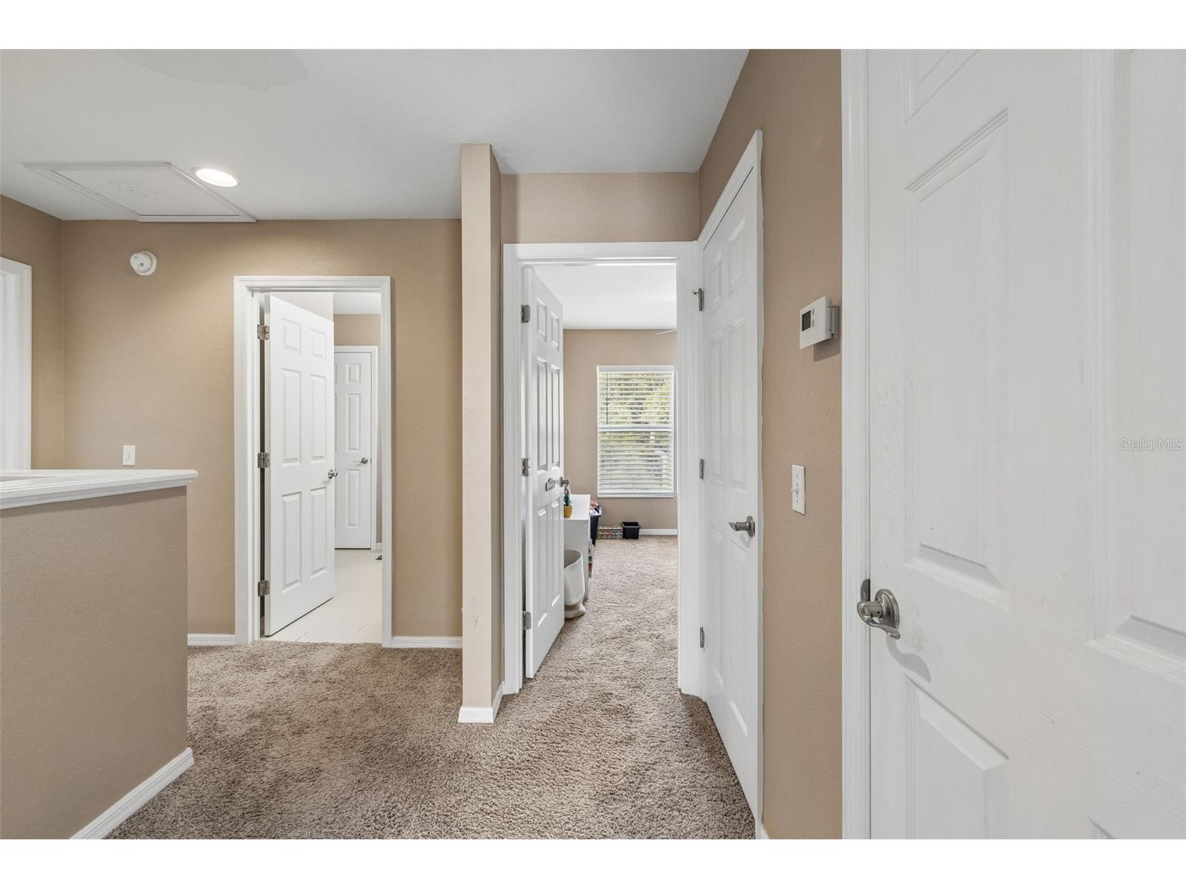10620 Carloway Hills Drive Wimauma FL 33598 TB8516645 image19