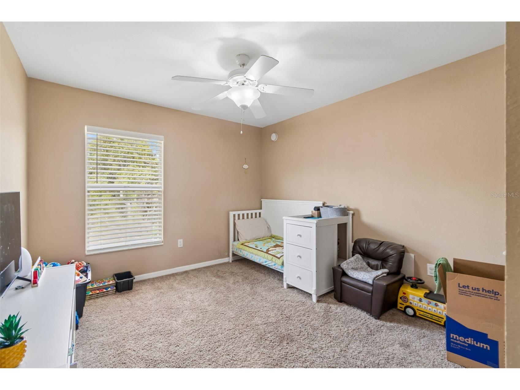 10620 Carloway Hills Drive Wimauma FL 33598 TB8516645 image21