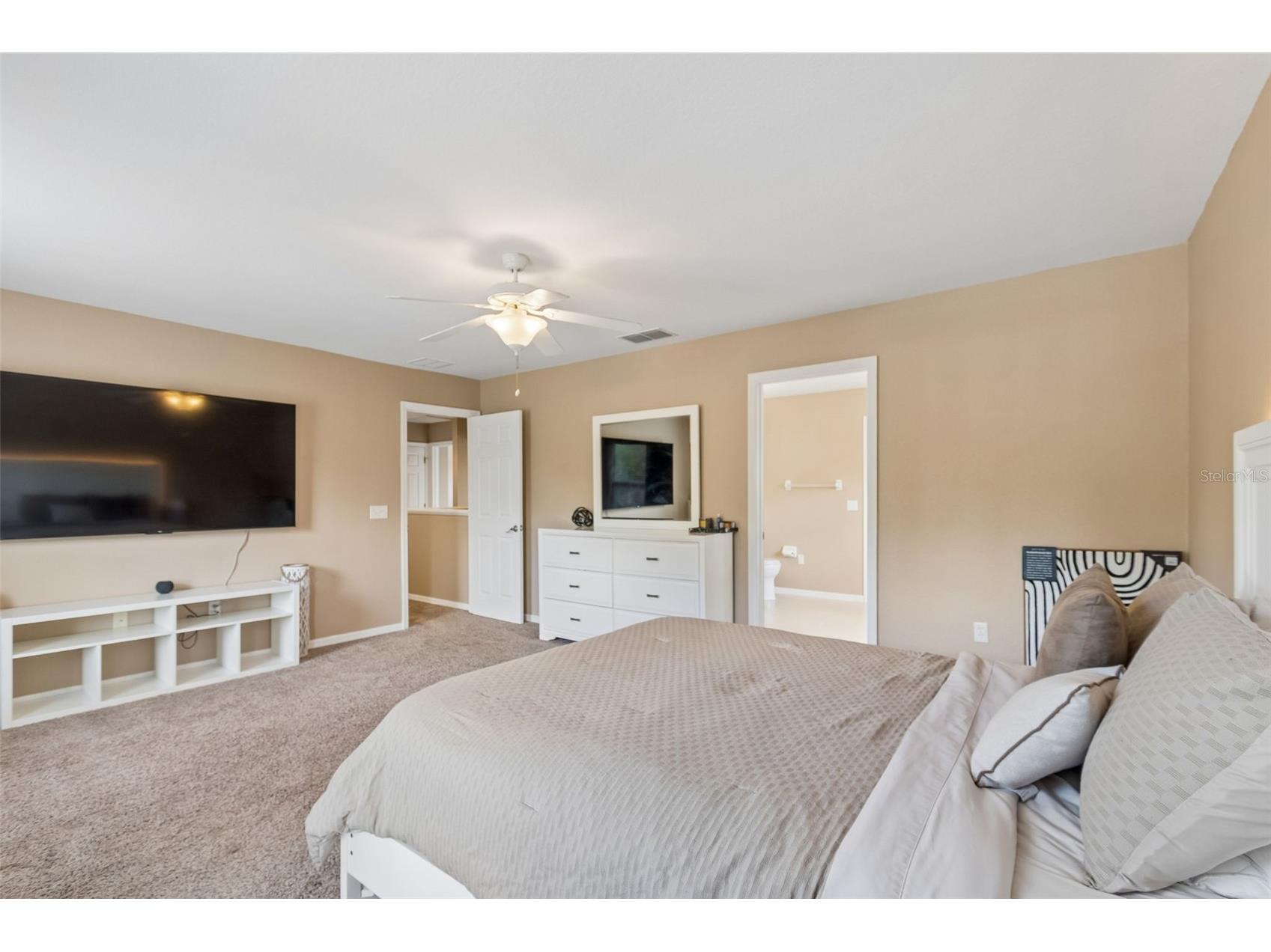 10620 Carloway Hills Drive Wimauma FL 33598 TB8516645 image26