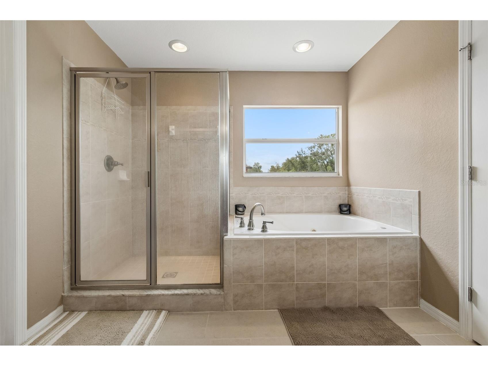 10620 Carloway Hills Drive Wimauma FL 33598 TB8516645 image30
